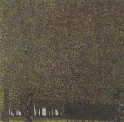Gustav Klimt The Park (mk20) France oil painting artist